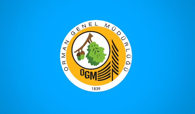 Mersin Orman İşletme Müdürlüğü yol ağı planı yapılması hizmeti alıyor