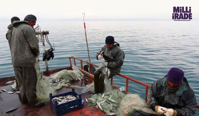 Balık avı yasağı başlıyor