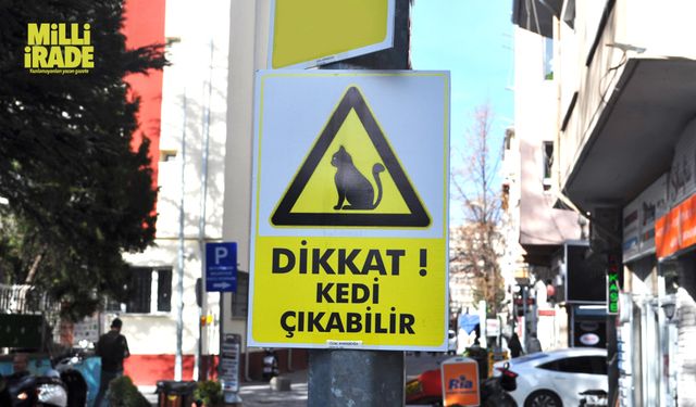 Duyarsız sürücüler için “Dikkat Kedi Çıkabilir” yazılı önlem