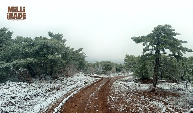 Beyaz örtüyle kaplanan mahallede kartpostallık görüntüler oluştu