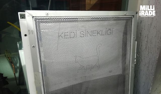 Kediler için alüminyumdan sineklik üretti