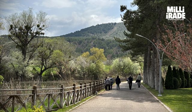 Yağmur beklentisi vatandaşların piknik planlarını iptal ettirdi