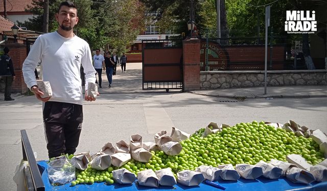 Oy kullanılan okulun önüne tezgah kurup erik sattı