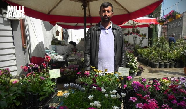 Havalar ısındı, fideler tezgahlardaki yerini almaya başladı