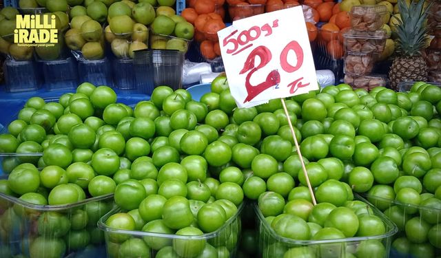 Vatandaşların gözde meyvesi "Papaz Eriği"