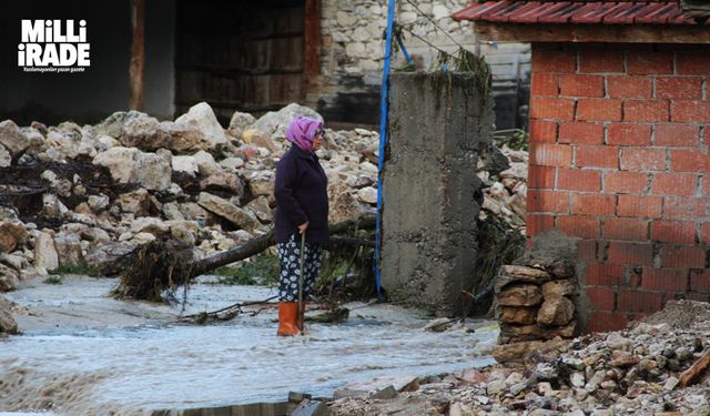 Sel felaketinde 3 ev yıkıldı, çok sayıda hayvan telef oldu