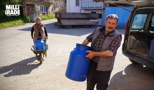 Süt toplama merkezleriyle birlikte üretici rahatladı (VİDEO HABER)