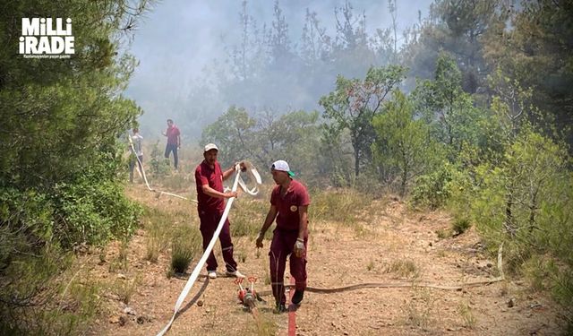 Sarıcıkaya’da orman yangını