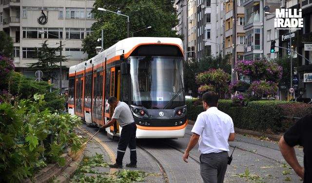 Rüzgarda kırılan dal tramvay seferlerini aksattı (VİDEO HABER)