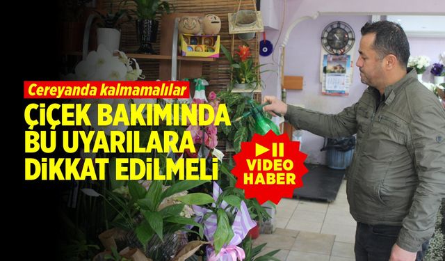 Çiçek bakımında bu uyarılara dikkat (VİDEO HABER)