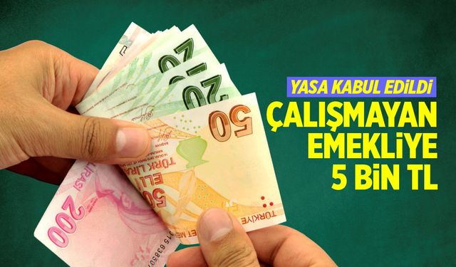 Çalışmayan emekliye 5 bin TL! Yasa kabul edildi