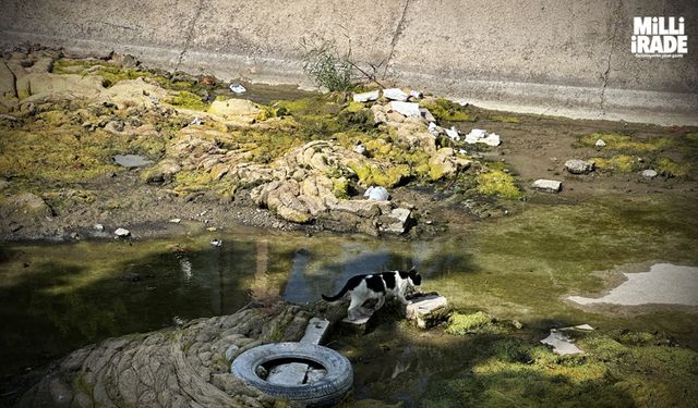 Porsuk Çayı’nda kirli görüntü dikkat çekiyor