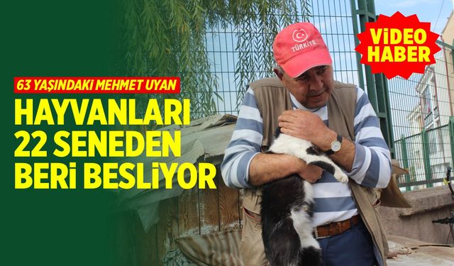 Sokak hayvanlarını 22 senedir besliyor (VİDEO HABER)