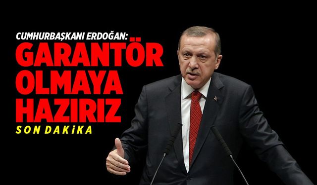 "Garantör olarak elimizi taşın altına sokmaya hazırız"