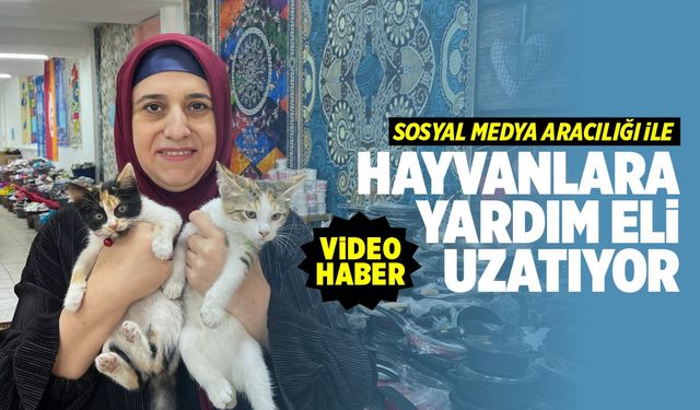 Sosyal medya ile hayvanlara yardım eli uzatıyor (VİDEO HABER)