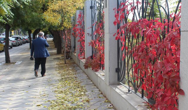 Eskişehir’in caddelerinde renklerin dansı