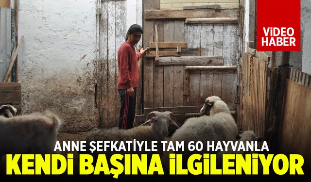 60 adet hayvana anne şefkatiyle bakıyor