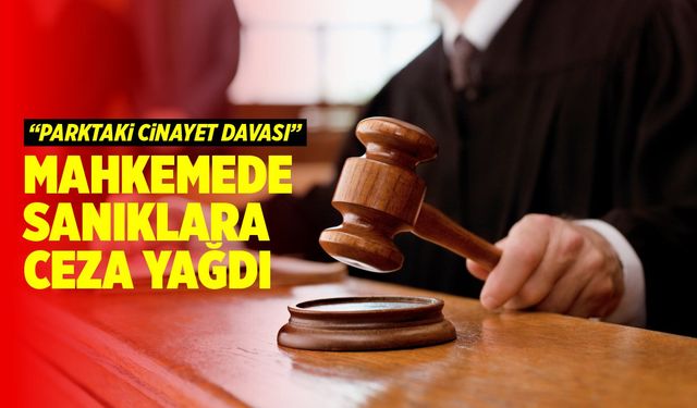 Parktaki cinayet davasında 5 şüpheliye ceza yağdı