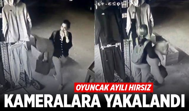 Oyuncak ayılı hırsızın rahatlığı görenleri şaşkına çevirdi