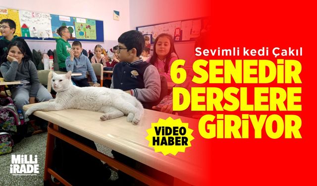 6 yıldır öğrencilerle birlikte derslere giriyor (VİDEO HABER)