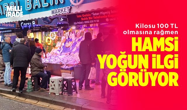 Hamsi yoğun ilgi görüyor