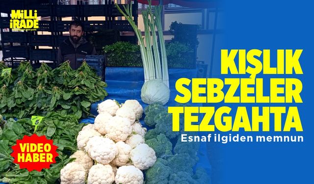 Kış aylarının vazgeçilmez sebzeleri tezgâhlarda (VİDEO HABER(