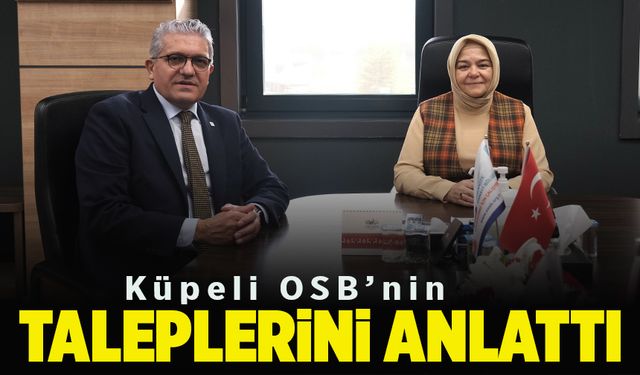 Küpeli OSB'nin taleplerini anlattı