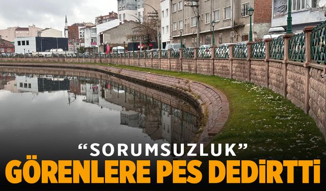 Görenlere ‘pes’ dedirten sorumsuzluk