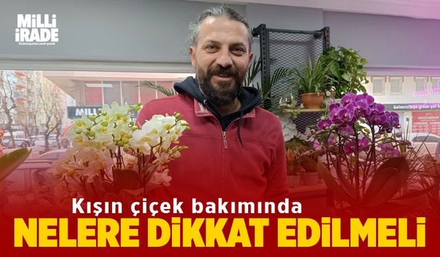 Kışın çiçek bakımında nelere dikkat etmeliyiz