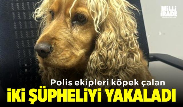 Çalınan köpek için harekete geçti, iki şüpheliyi yakaladı