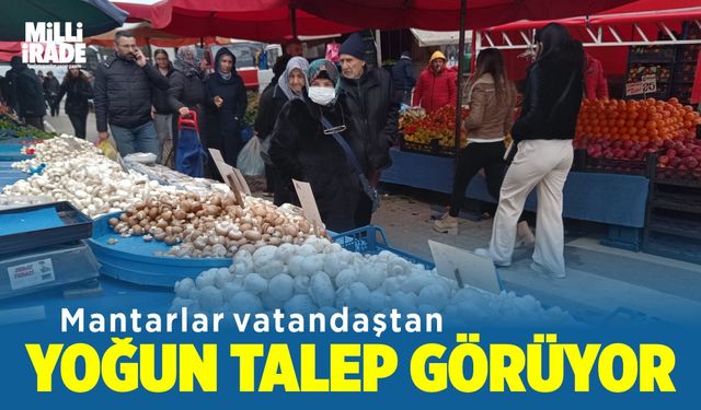 Vatandaşlardan mantara yoğun talep