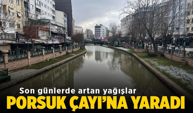 Son günlerde artan yağışlar Porsuk Çayı'na yaradı