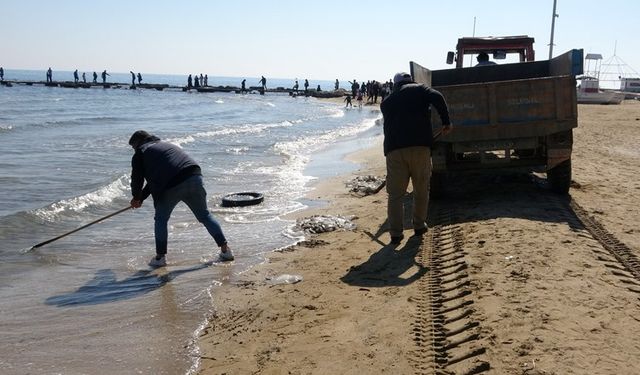 Uzman uyardı: Zehirli sakın dokunmayın