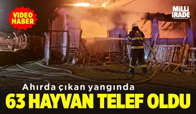 Ahırda yangın paniği! 63 hayvan telef oldu (VİDEO HABER)