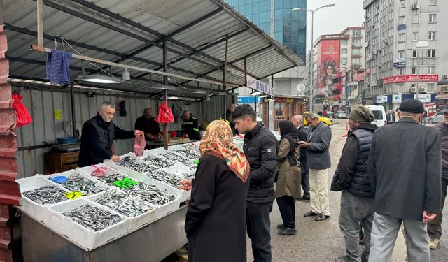 Fiyatı 50 liraya düşen istavrite yoğun ilgi