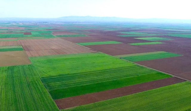 Alpu Termik Santrali'ne Danıştay'dan ret