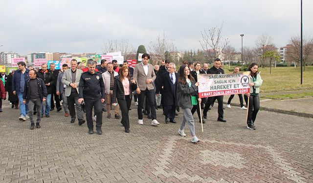 "Türkiye'de her 3 yetişkinden 1'i obez"