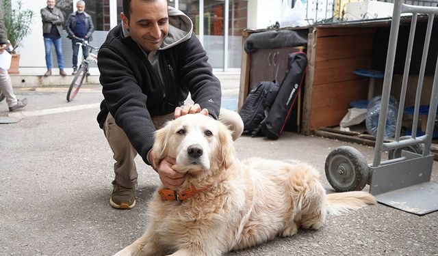 Köpeğin doktora havlaması sahibine 700 bin TL'ye patladı