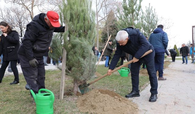 Hayatını kaybeden Karel ve kızı anısına ağaç diktiler