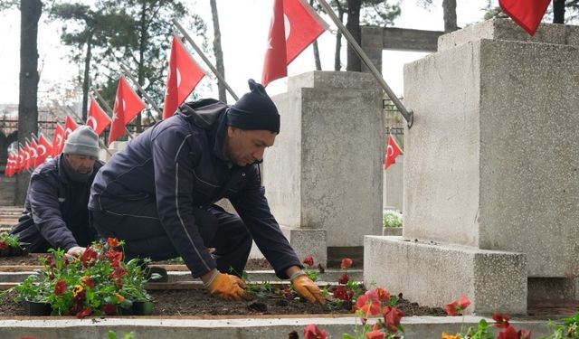 Şehitlerin mezarları çiçeklerle donatıldı