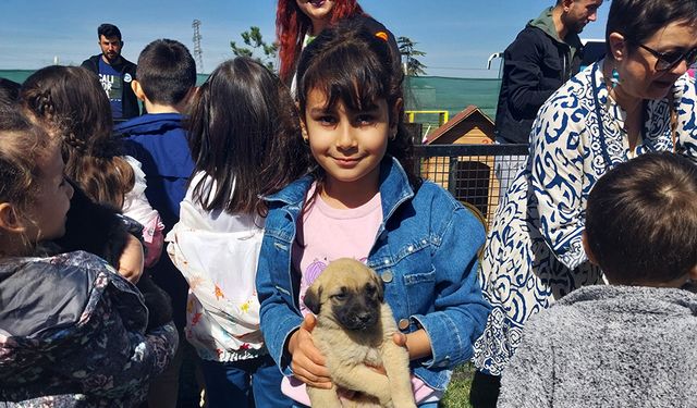 Sahipsiz sokak hayvanlarını ziyaret ettiler