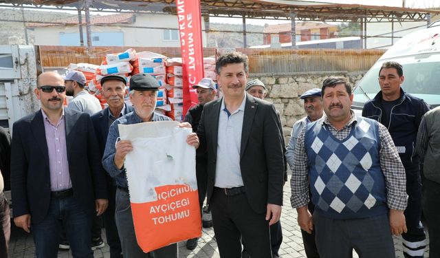 Seyitgazi'de ayçiçeği üretimi artıyor