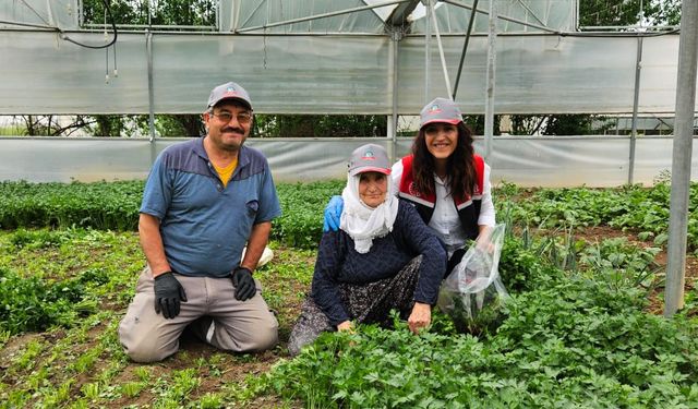 Sağlıklı tarımsal üretim çalışmaları devam ediyor