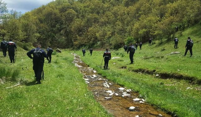 Yaşlı kadını arama çalışmaları 8’inci gününde