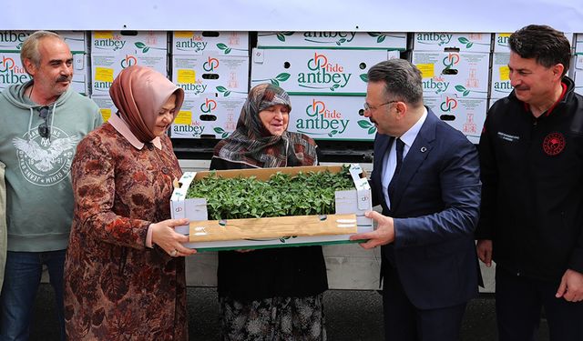 Vali Aksoy çiftçilere domates fidesi dağıttı