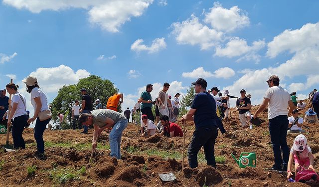 Sıfır Atık Ormanı yeni dikilen fidanlar ile büyüyor