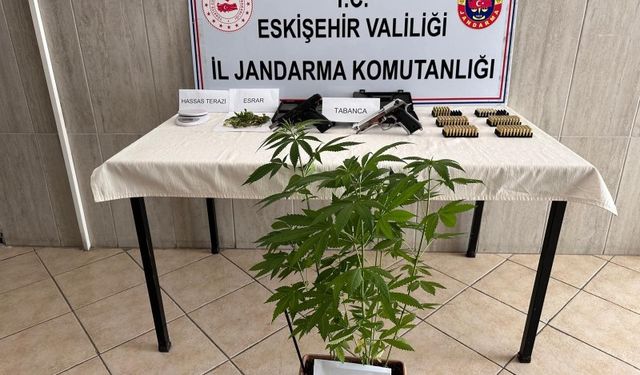 Evinde kenevir yetiştiren şüpheli yakalandı