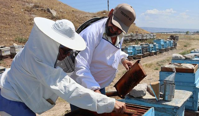 Eskişehirli arıcılar daha fazla destek bekliyor