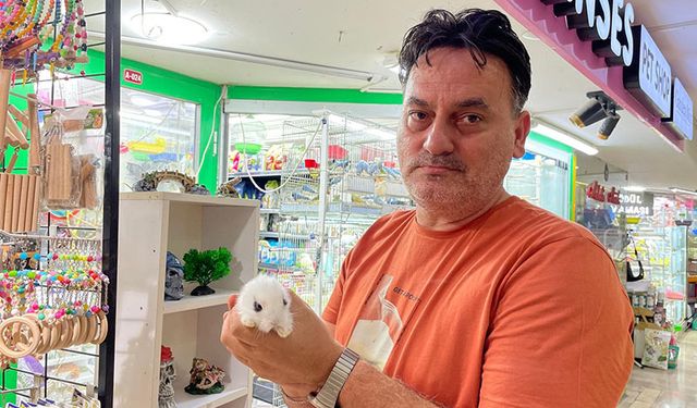 Pet shop'lardan alınan hayvanlar geri getiriliyor