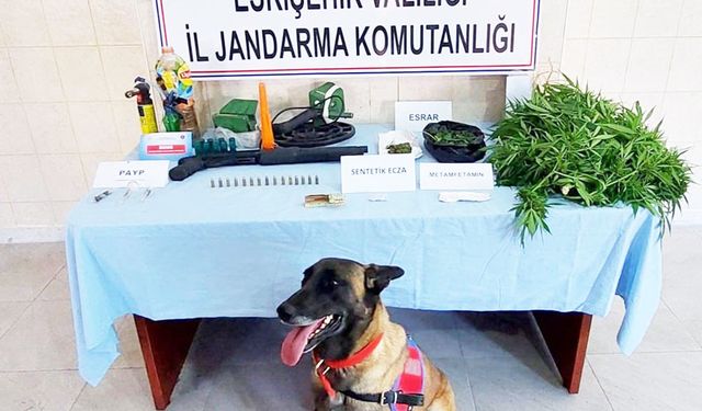 Uyuşturucu ticaretine jandarma operasyonu